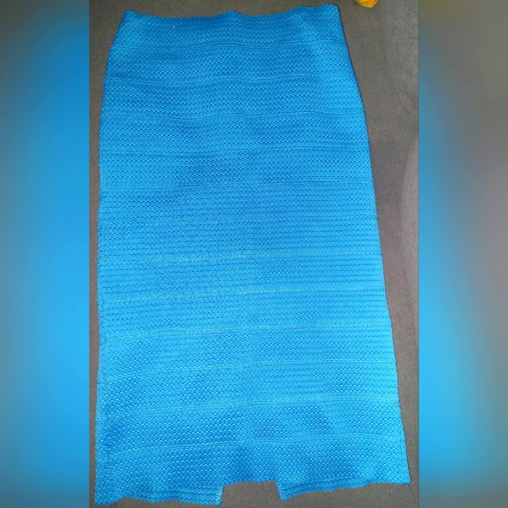 Long Blue Skirt - 7th Ave NY & Company Design